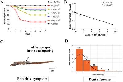 First insight of the genome-wide association study and genomic prediction into enteritis disease (Vibrio harveyi) resistance trait in the lined seahorse (Hippocampus erectus)